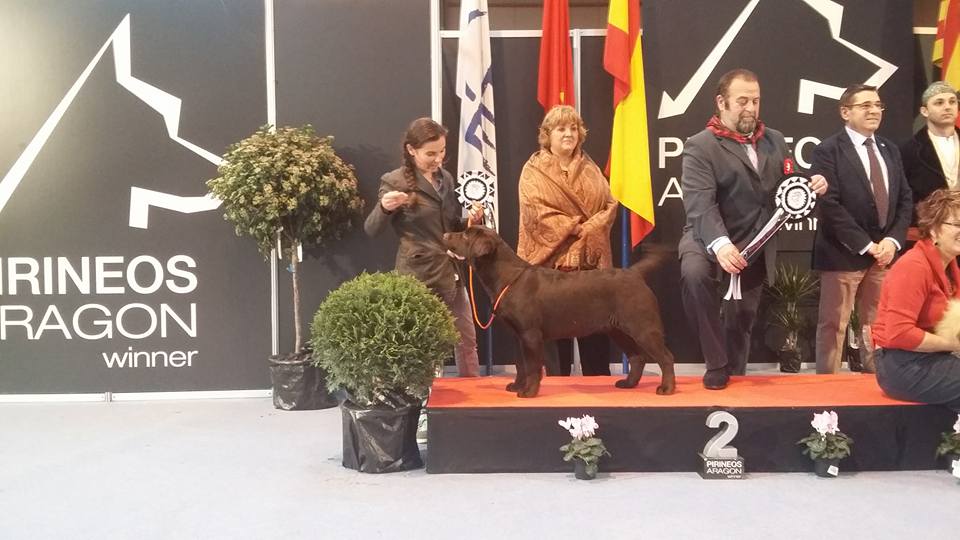 Amador Reserva Best in Show Puppy